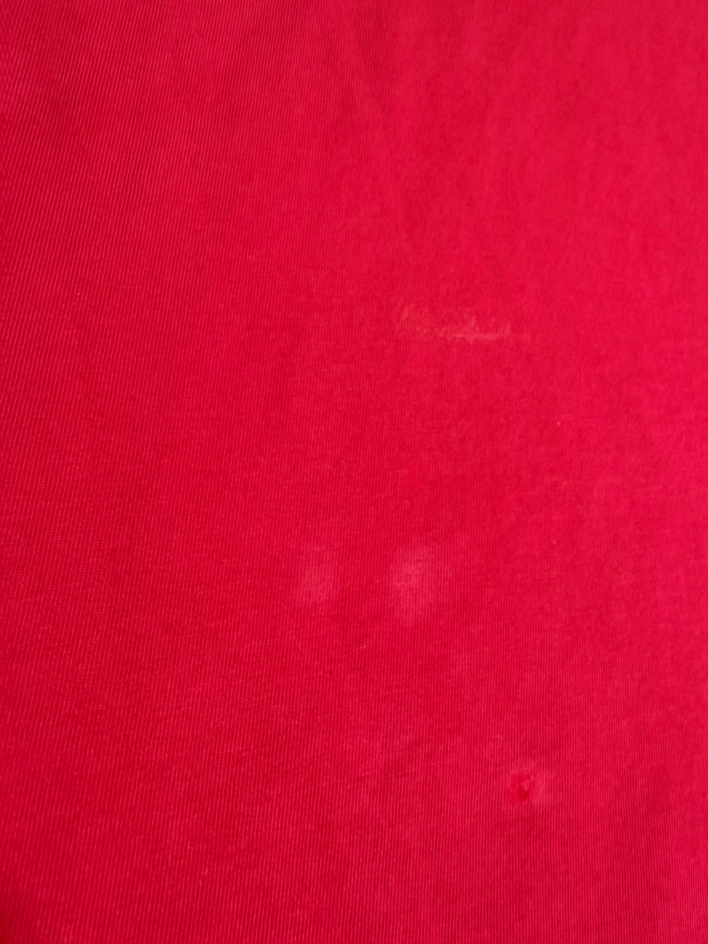 Y2K Adidas Budweiser Polo (Marks)
