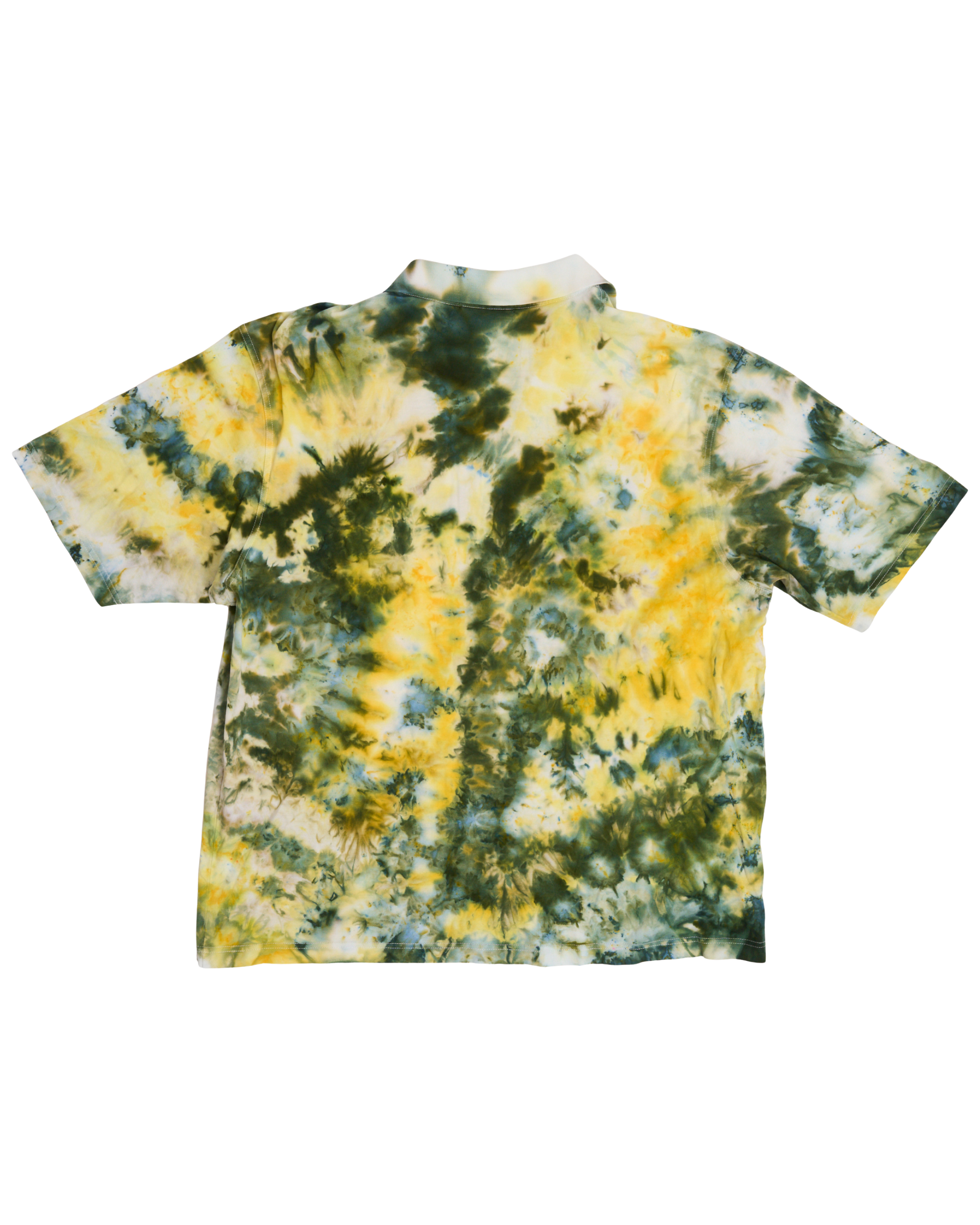 Masters In Color Tradition Polo