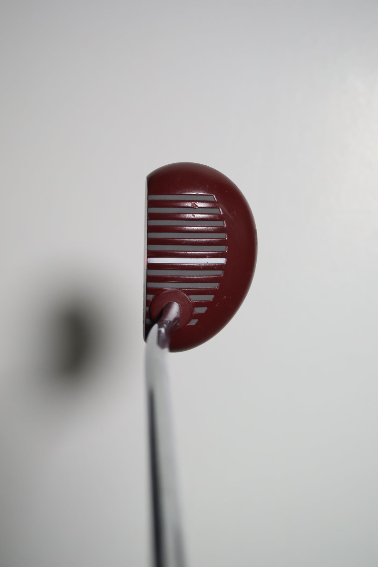RAM - Eye of the Zebra - Putter