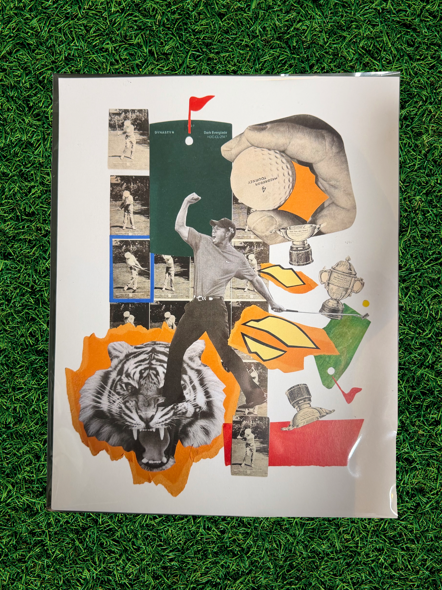 Legend Print - Tiger Woods