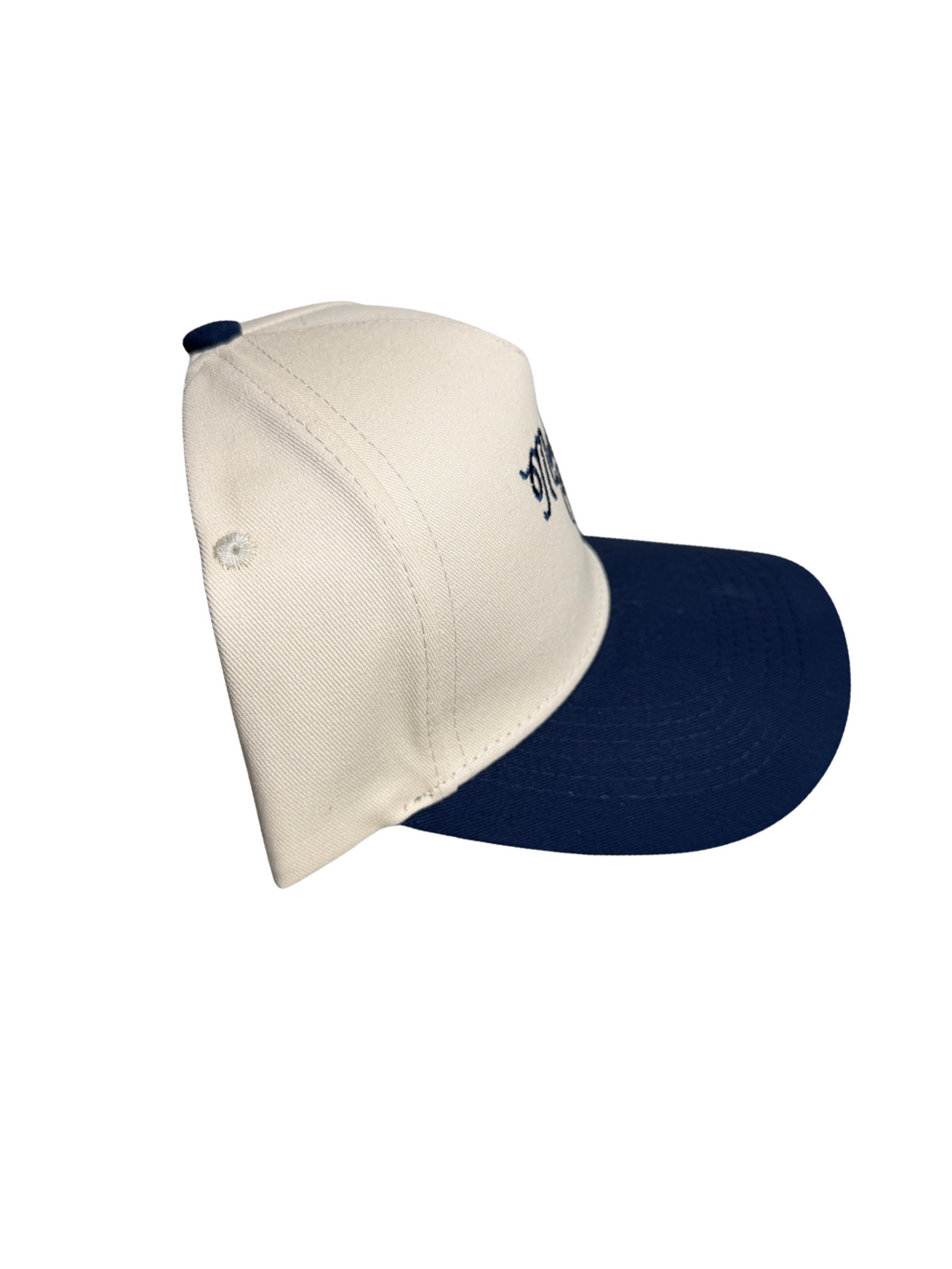 The Member Cap - Blueberry